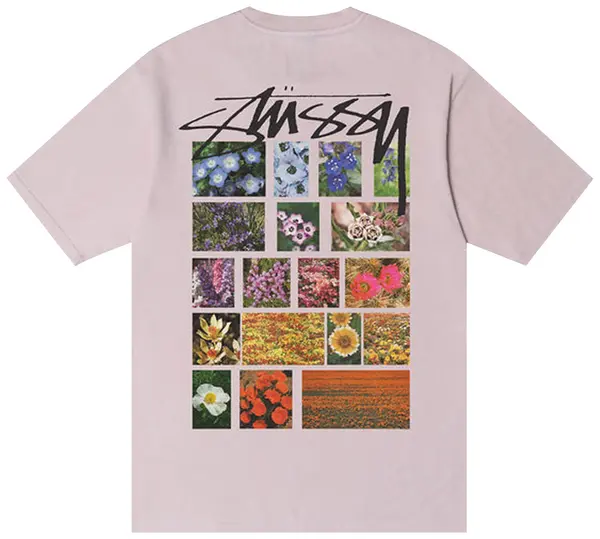 Pasted Image