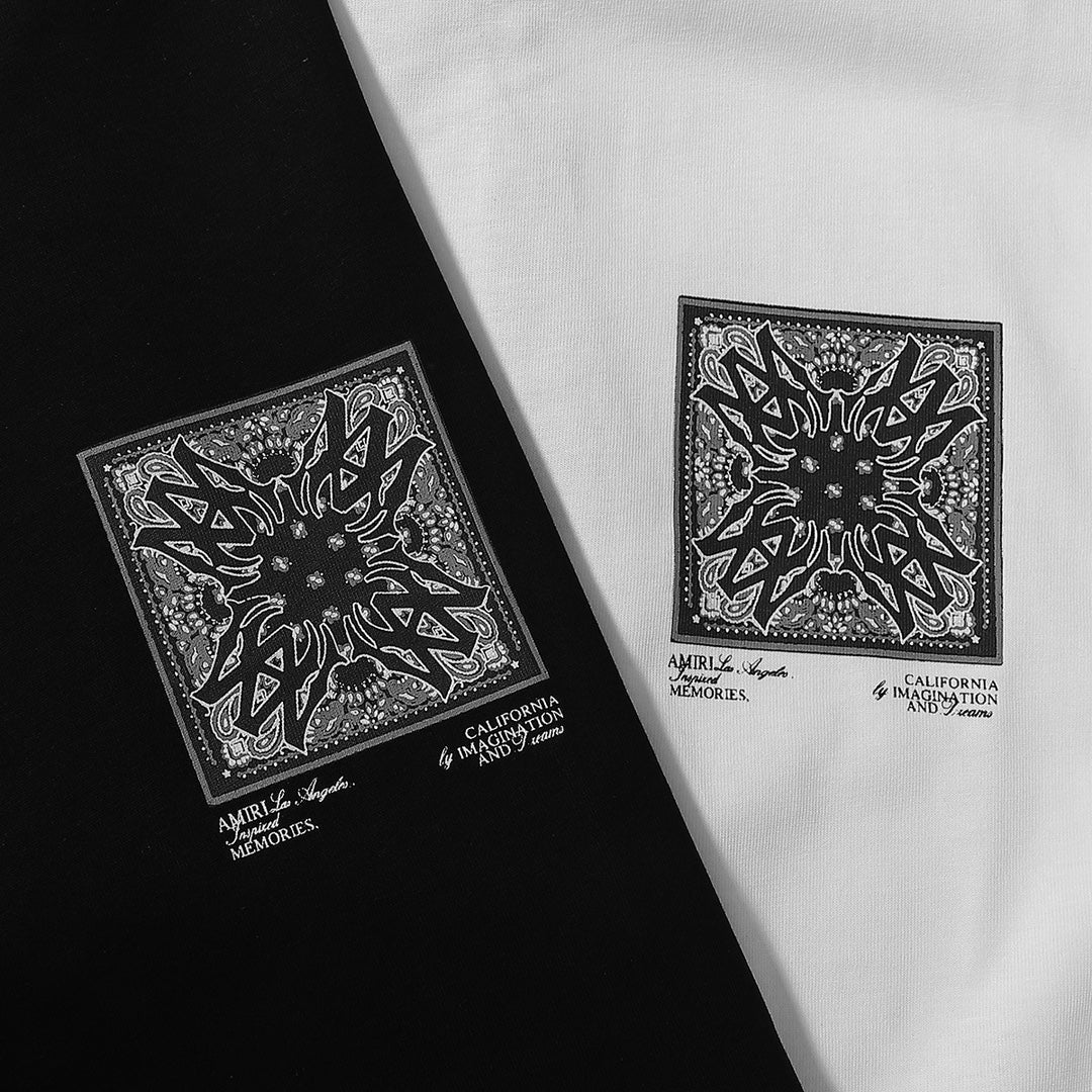 Pasted Image